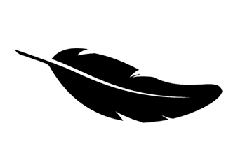 Kickson lightweight pro football shin guards